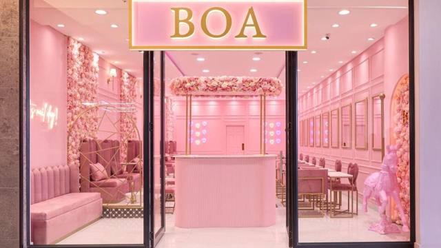 BOA Beauty Bar Mushroom Farm